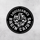 University of Louisiana At Lafayette Metal Sign